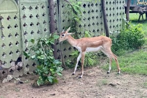 アグラからバーラトプルへの日帰りツアー（ファテプル・シクリを含む）