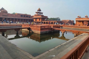 アグラからジャイプールまでの往復、チャンド・バオリの階段井戸とシクリ訪問