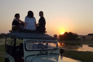 Ökensafari hela dagen med kulturprogram