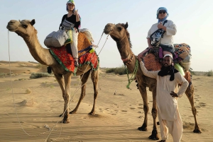 Ökensafari hela dagen med kulturprogram