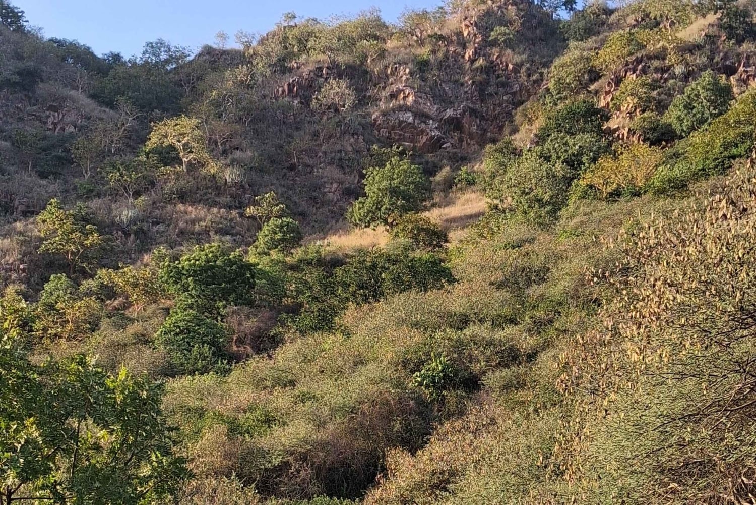 All Inclusive Hiking Experience at Monsoon Palace