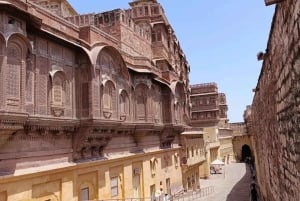 Jodhpur : visite guidée d'une journée tout compris avec billet