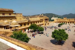 Jodhpur : visite guidée d'une journée tout compris avec billet