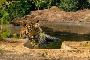 Gouden Driehoek India Tour – 6 dagen: Delhi, Agra, Jaipur