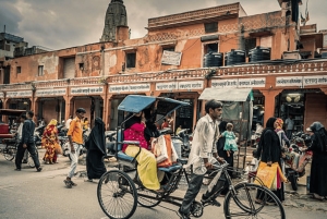 Passeio privado de meio dia por Jaipur: Forte de Amer, Jal Mahal e Poço Escalonado