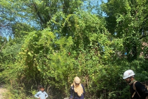 Amer: Caminata Exótica Guiada, Yoga y Visita al Pueblo