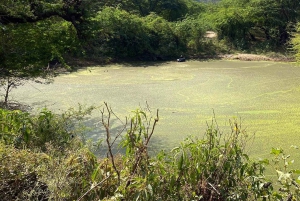 Amer: Caminata Exótica Guiada, Yoga y Visita al Pueblo