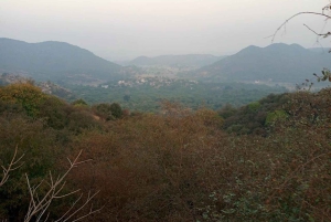 Amer: Caminata Exótica Guiada, Yoga y Visita al Pueblo