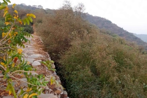 Amer: Caminata Exótica Guiada, Yoga y Visita al Pueblo