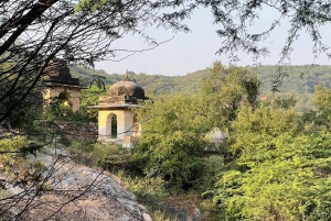 Amer: Caminata Exótica Guiada, Yoga y Visita al Pueblo