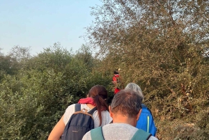 Amer: Caminata Exótica Guiada, Yoga y Visita al Pueblo