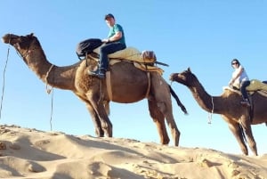 En uforglemmelig kamelsafari, jeepsafari og et måltid i Osian Villlage