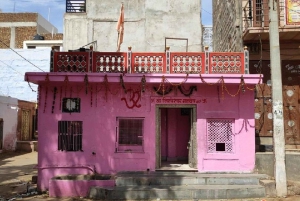 Niezapomniane wielbłądzie safari, jeep safari, posiłek w Osian Villlage