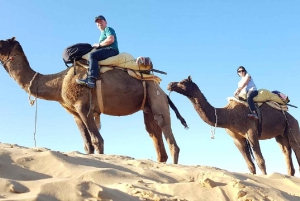 Niezapomniane wielbłądzie safari, jeep safari, posiłek w Osian Villlage
