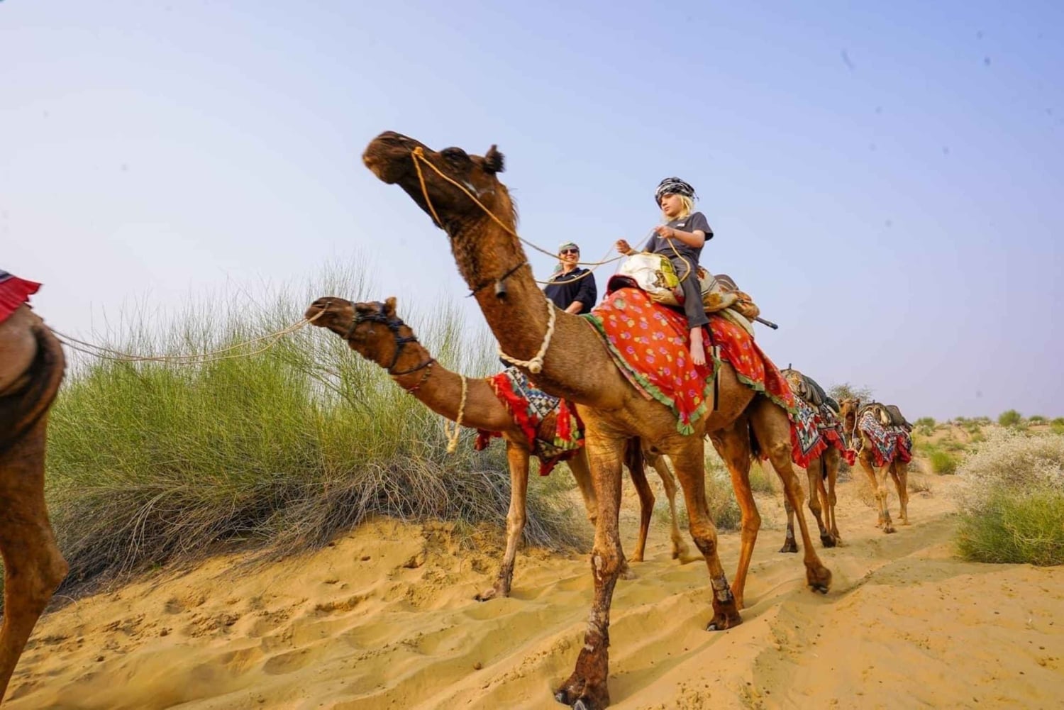 Authentic Overnight Camel Safari & Sleep Under the Stars