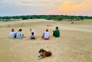 Authentic Overnight Camel Safari & Sleep Under the Stars