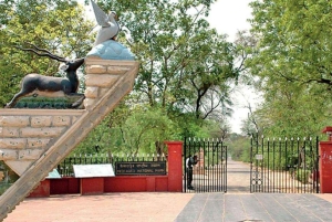 Bharatpur Half-Day Tour: A Perfect Blend of Nature & Culture