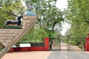 Однодневный тур в Бхаратпур: птицы, форты и культура