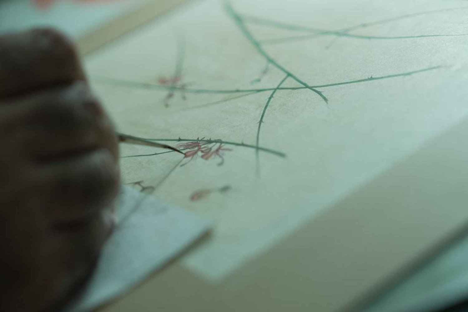 Bikaner: Botanical Miniature Painting Experience