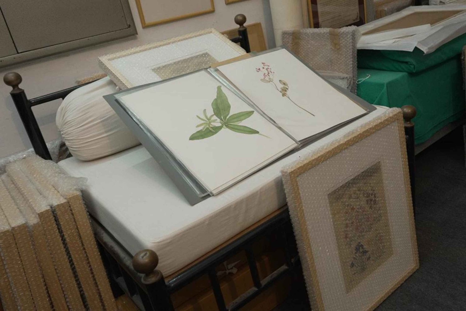 Bikaner: Botanical Miniature Painting Experience