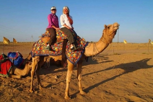 Bikaner: Heldagstur med sightseeingtur og Karni Mata-templet
