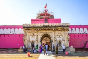 Bikaner: Halvdags guidet tur til Karni Mata-tempelet