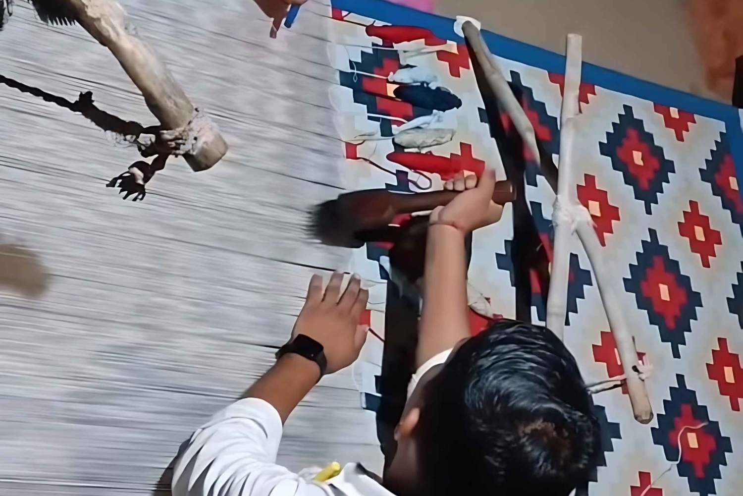 Village de Bishnoi : excursion safari