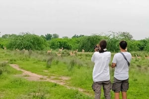 Деревня Бишной: сафари-тур