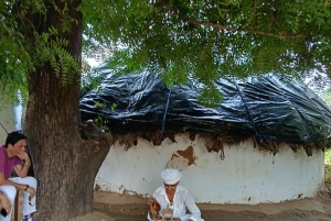 Village de Bishnoi : excursion safari