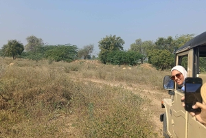 Village de Bishnoi : excursion safari