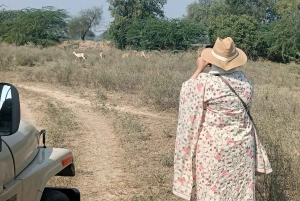 Village de Bishnoi : excursion safari