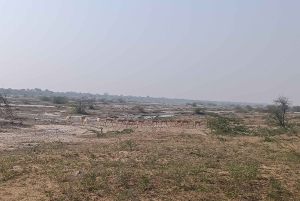 Village de Bishnoi : excursion safari