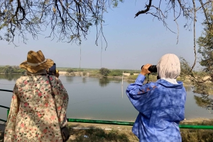 Village de Bishnoi : excursion safari