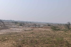 Village de Bishnoi : excursion safari