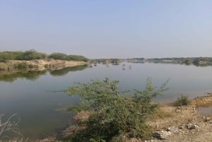 Village de Bishnoi : excursion safari