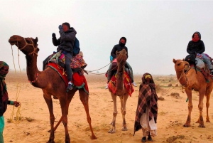Lycklig halvdags kamelsafari med solnedgång och musikalisk kväll