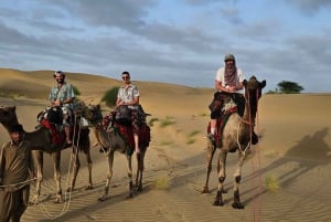 Lycklig halvdags kamelsafari med solnedgång och musikalisk kväll