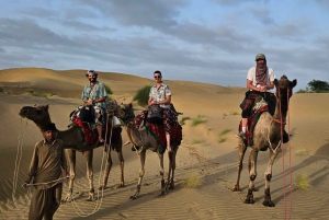 Lycklig halvdags kamelsafari med solnedgång och musikalisk kväll