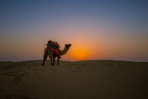 Lycklig halvdags kamelsafari med solnedgång och musikalisk kväll