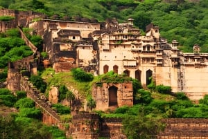 Bundi: Ramgarh Vishdhari Tiger Reserve Jeep Safari Ticket