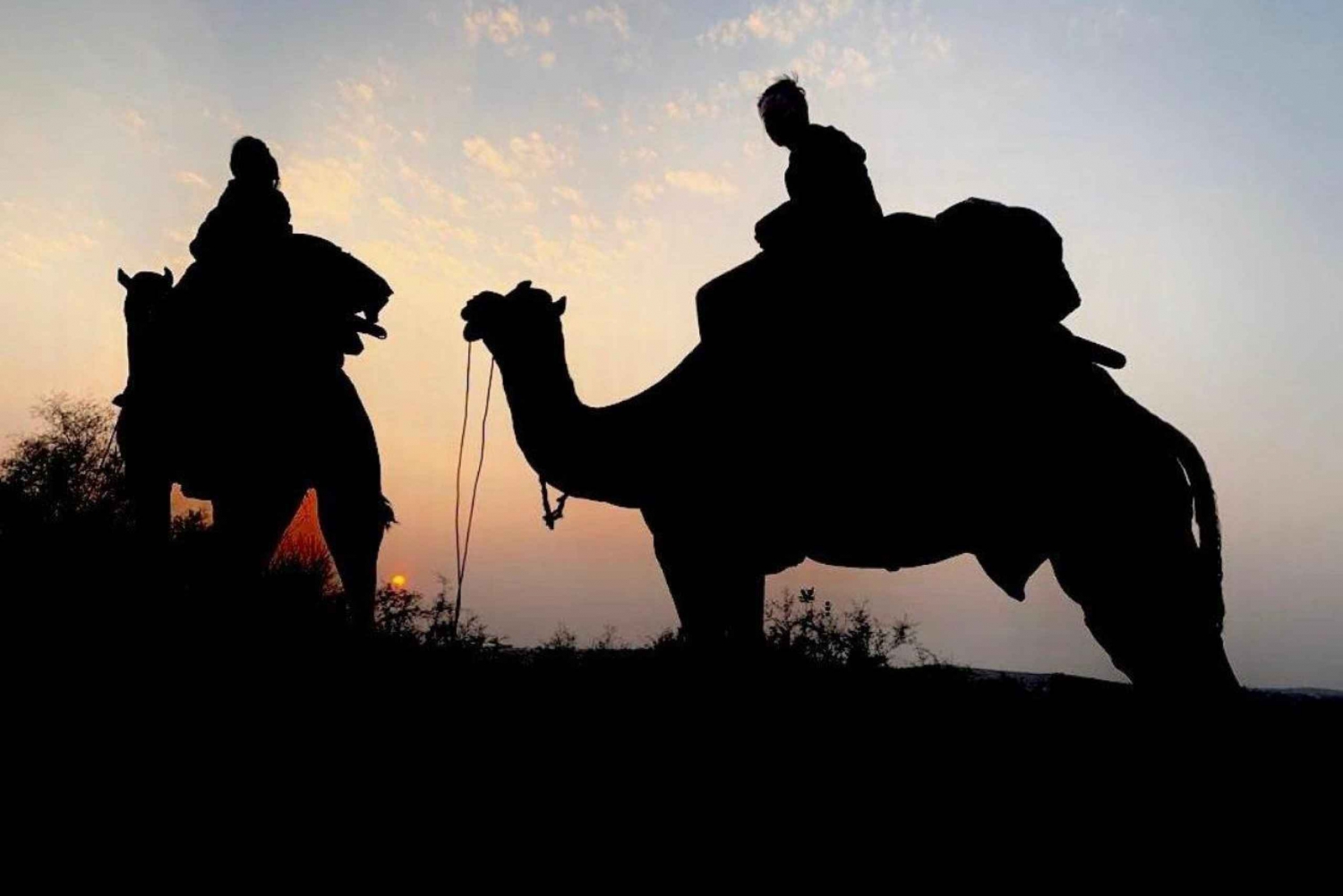 Camel Safari Experience From Jodhpur
