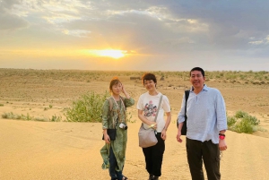 Camel Safari Half Day Desert Experience