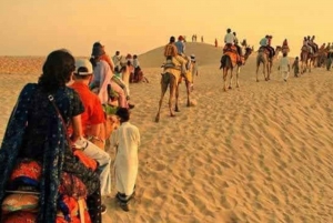 Camel Safari puoli päivää Tour Jodhpurissa illallisella