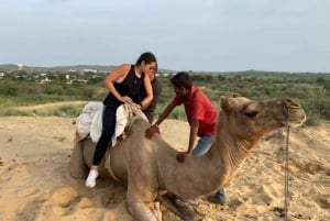 Tour de medio día en Jodhpur con safari en camello y cena