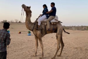 Tour di mezza giornata di Camel Safari a Jodhpur con cena