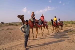 Kamel-Safari bei Sonnenuntergang mit Abendessen