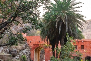 Canter Safari: Skip-the-line Entry Ranthambore Tiger Reserve