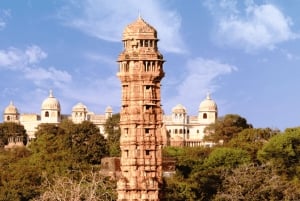 Chittorgarh: Hantverksvandring med hantverkare och lokal lunch