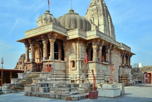 Chittorgarh: Privat dagstur med lunch