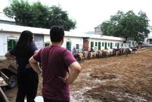 Day Tour to Nathdwara, Eklingji & Haldighati from Udaipur